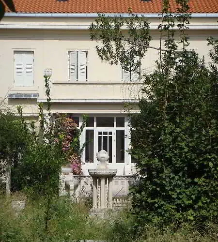 Ivo Split